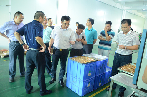 热烈欢迎五华县领导来元则电器公司进行考察交流！